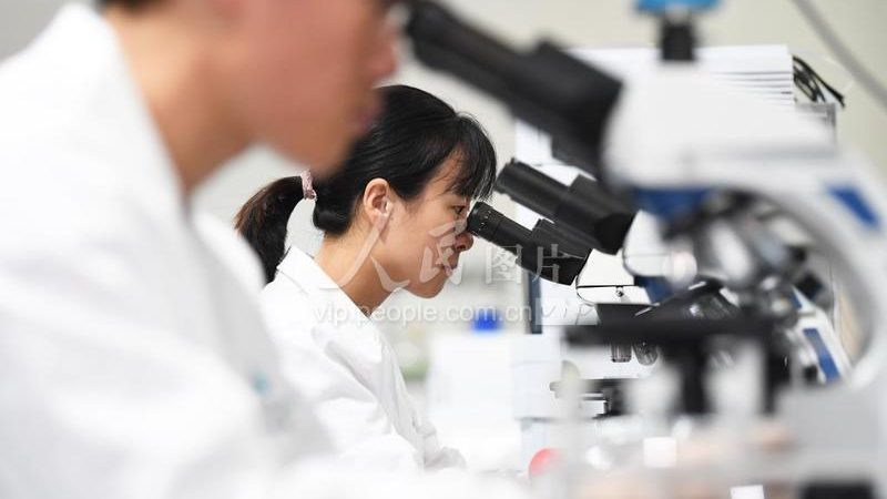 成都生物试剂定制，揭秘定制化服务背后的关键因素