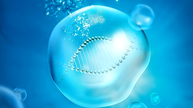医药生物技术服务外包：揭秘价格背后的考量因素