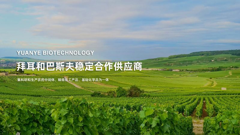 CRo优化培训教材：提升生物制药研发效率的关键