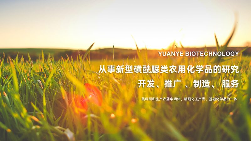 广州酶制剂批发厂家：如何选择合适的供应商？**