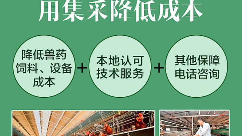 CDMO企业排名背后的考量因素**