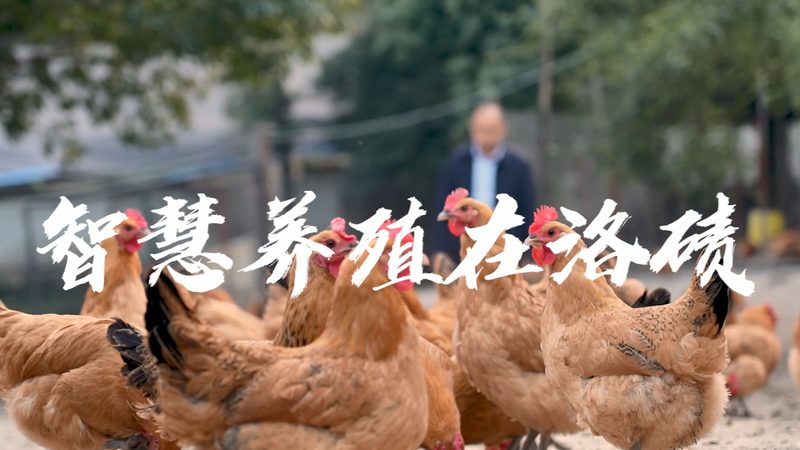认识误区：价格与品质的等价关系