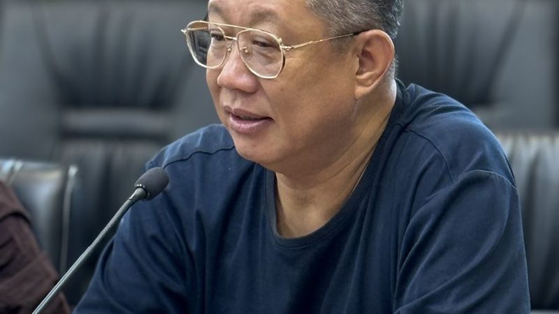 中国CDMO龙头企业合作攻略：揭秘合作共赢之道